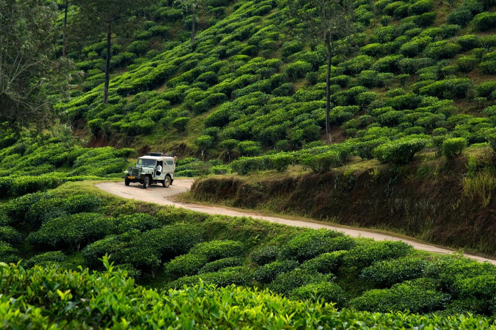 Spicegreen Homestay,Thekkady Buitenkant foto