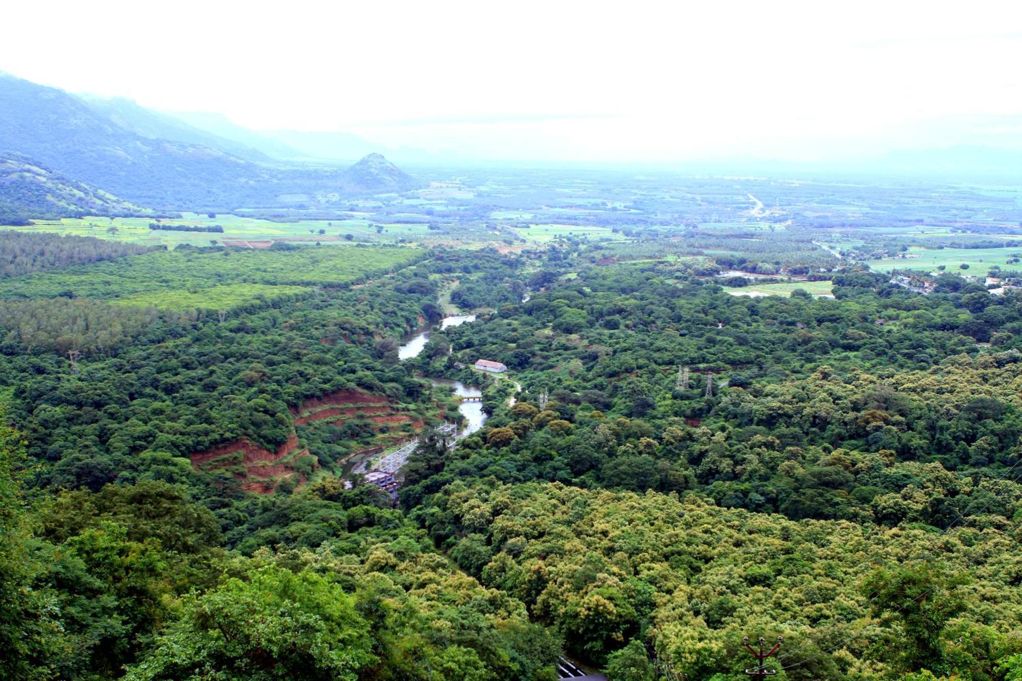 Spicegreen Homestay,Thekkady Buitenkant foto