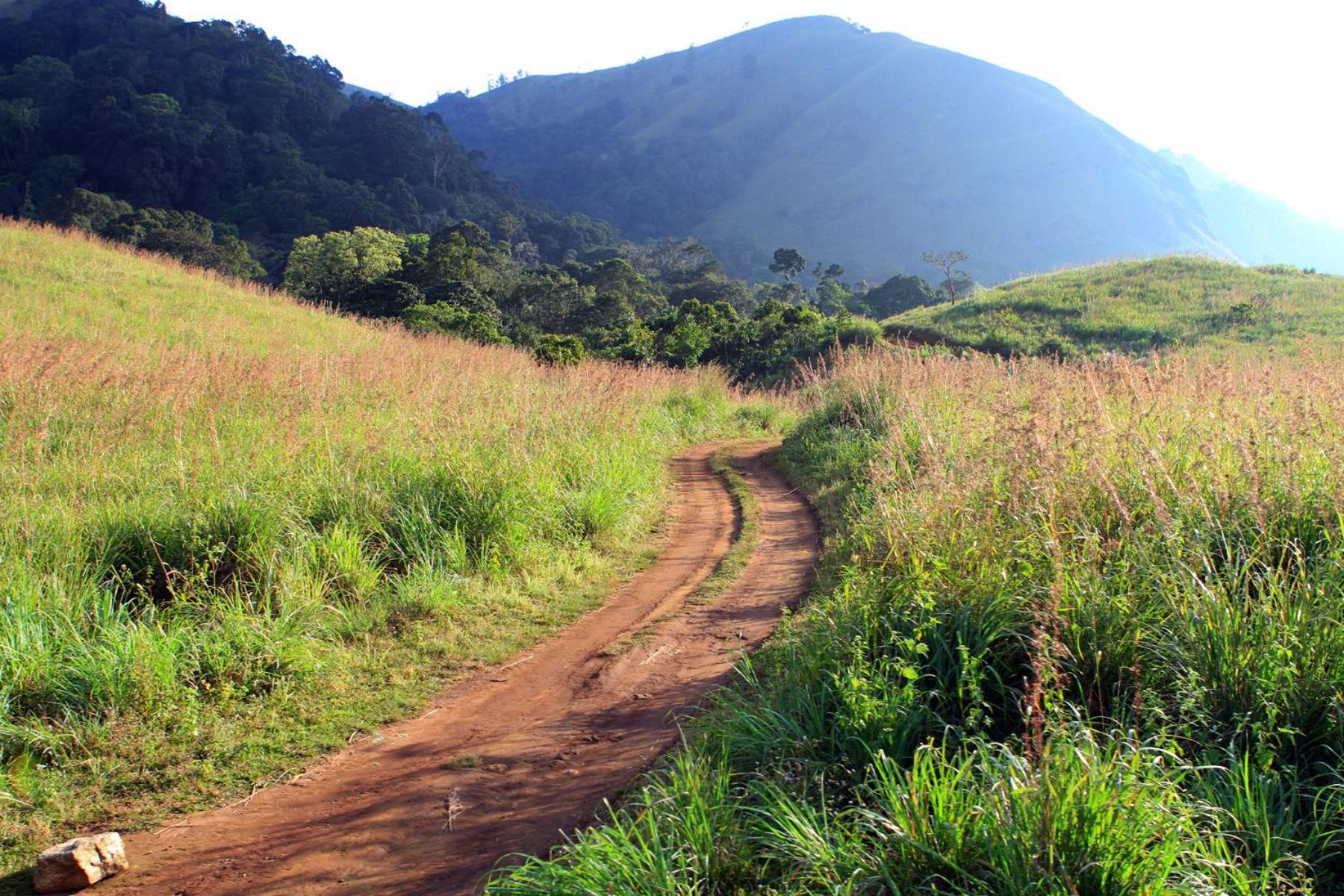 Spicegreen Homestay,Thekkady Buitenkant foto