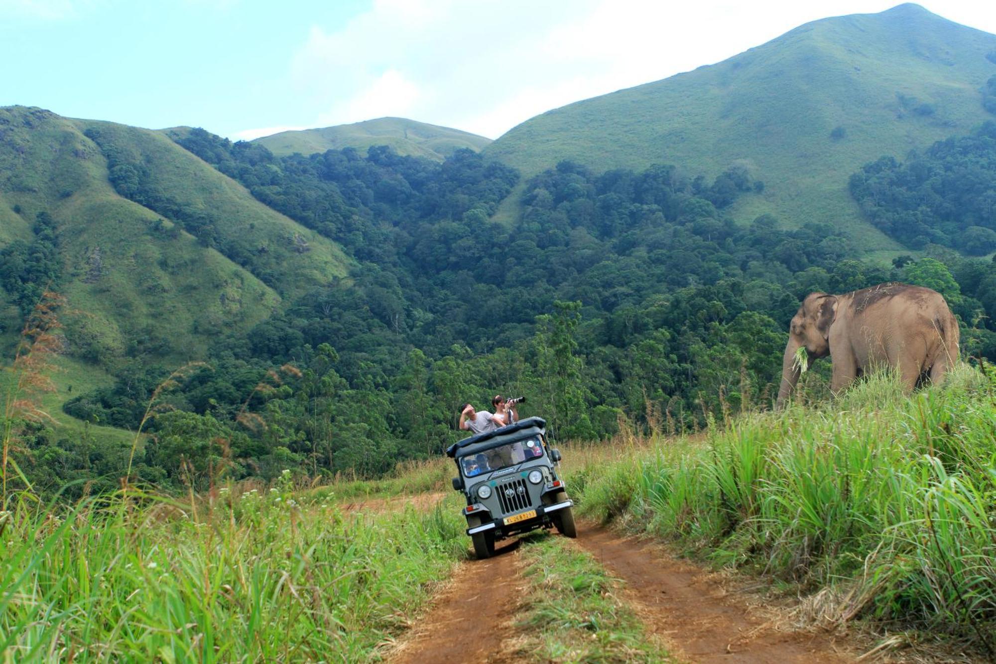 Spicegreen Homestay,Thekkady Buitenkant foto